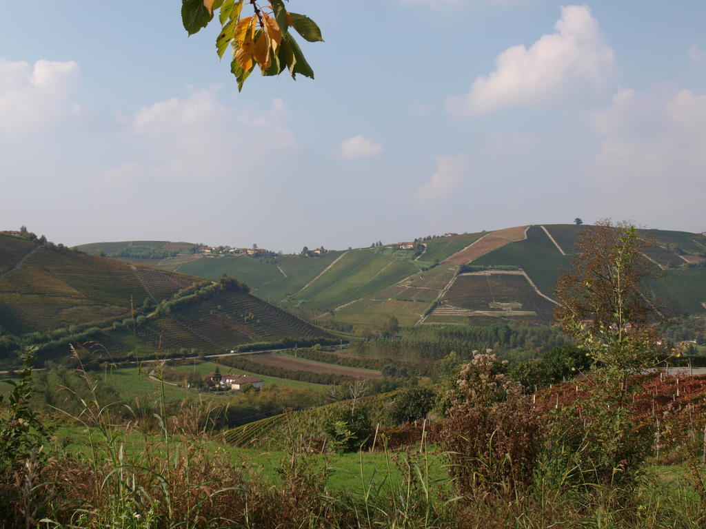 La Terrazza Del Barbaresco Bed & Breakfast Neviglie Exterior photo